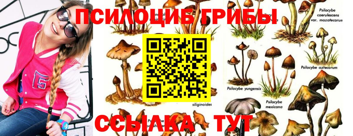 Псилоцибиновые грибы мухоморы  Вход с VPN  Псилоцибиновые грибы ЛСД  Спасск-Дальний 
